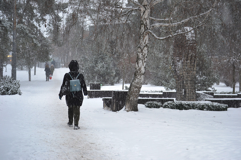 Фотографія **** / Віктор Чернецький / photographers.ua