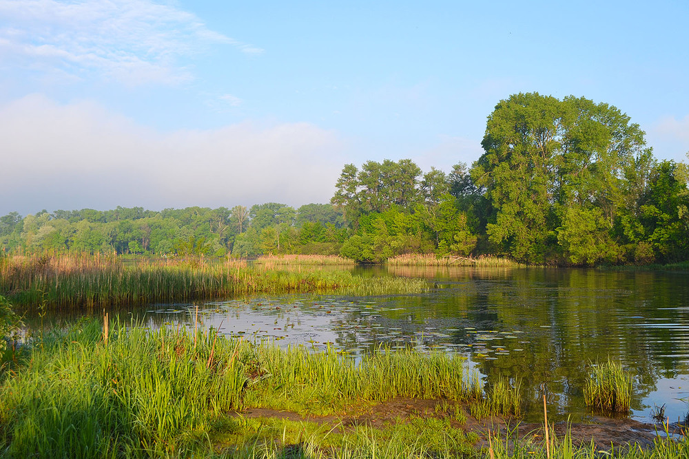 Фотографія **** / Віктор Чернецький / photographers.ua