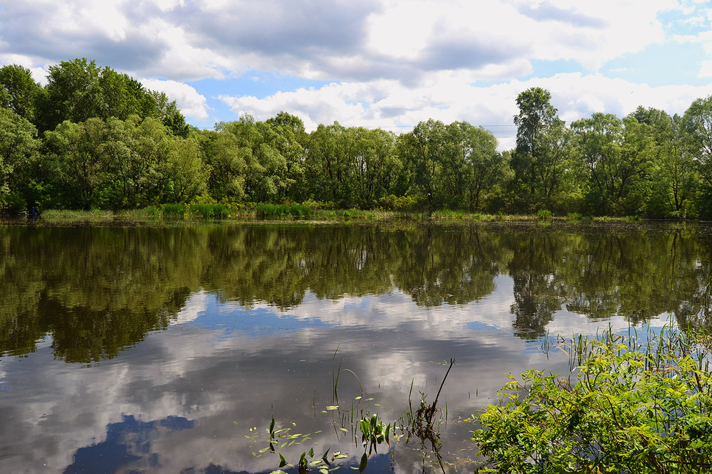 Фотографія **** / Віктор Чернецький / photographers.ua