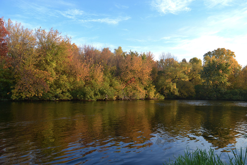 Фотографія **** / Віктор Чернецький / photographers.ua
