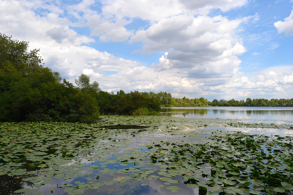 Фотографія **** / Віктор Чернецький / photographers.ua