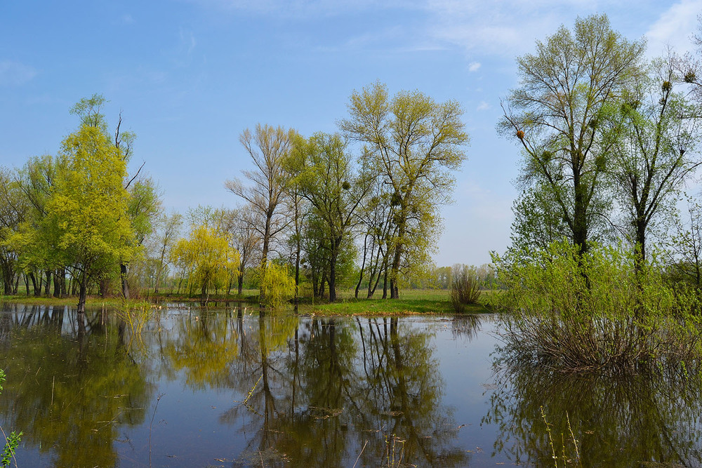 Фотографія **** / Віктор Чернецький / photographers.ua