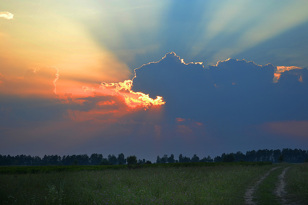 Фотографія **** / Віктор Чернецький / photographers.ua