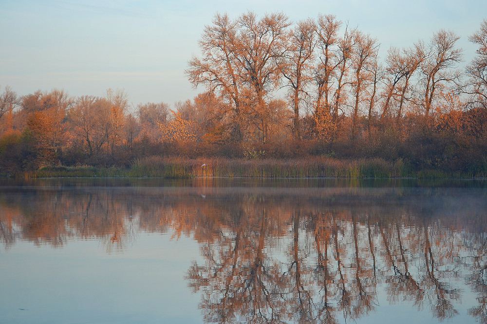 Фотографія **** / Віктор Чернецький / photographers.ua