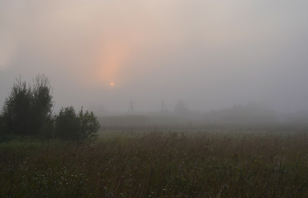 Фотографія **** / Віктор Чернецький / photographers.ua