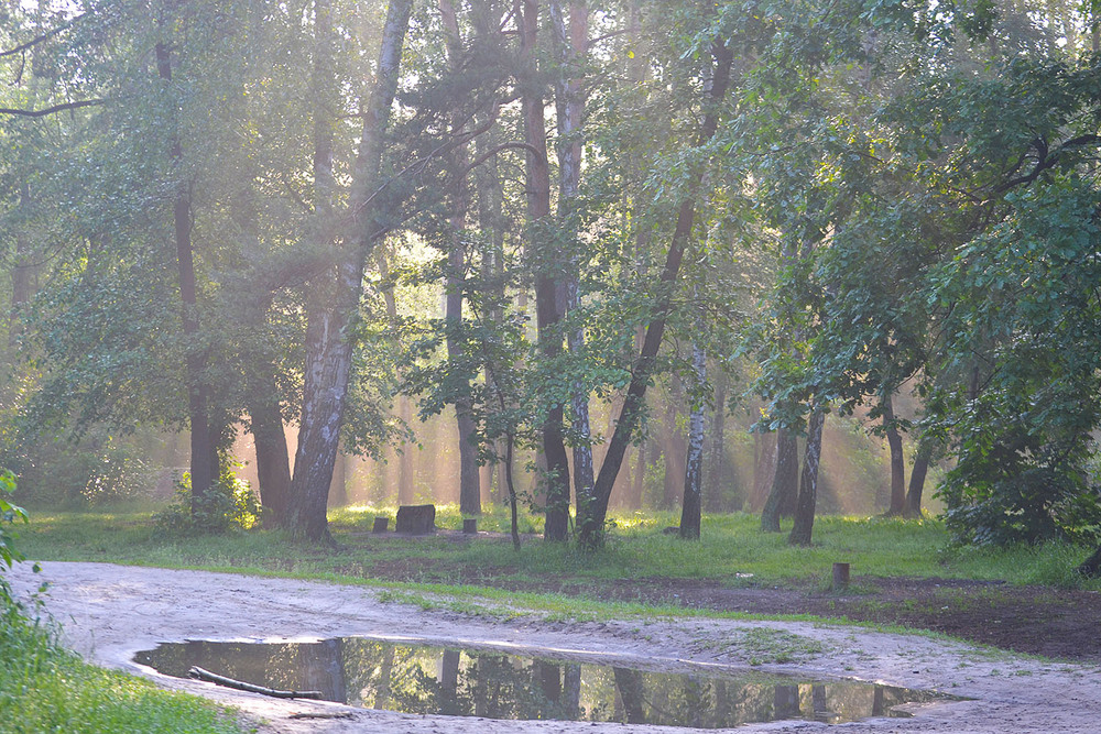 Фотографія **** / Віктор Чернецький / photographers.ua