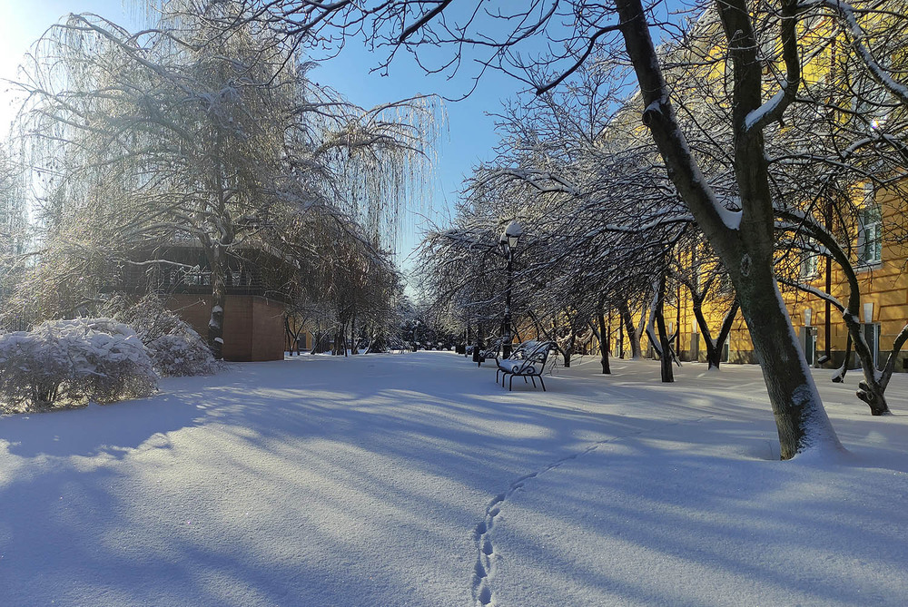Фотографія **** / Віктор Чернецький / photographers.ua