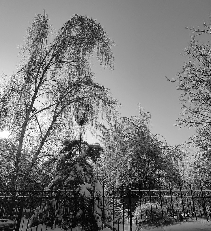 Фотографія **** / Віктор Чернецький / photographers.ua