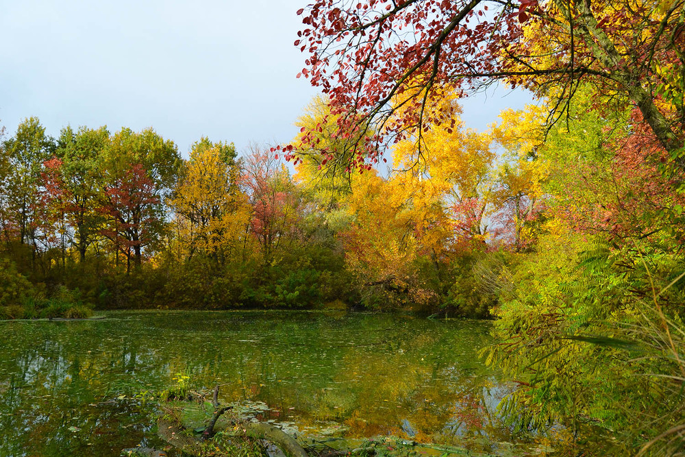 Фотографія **** / Віктор Чернецький / photographers.ua