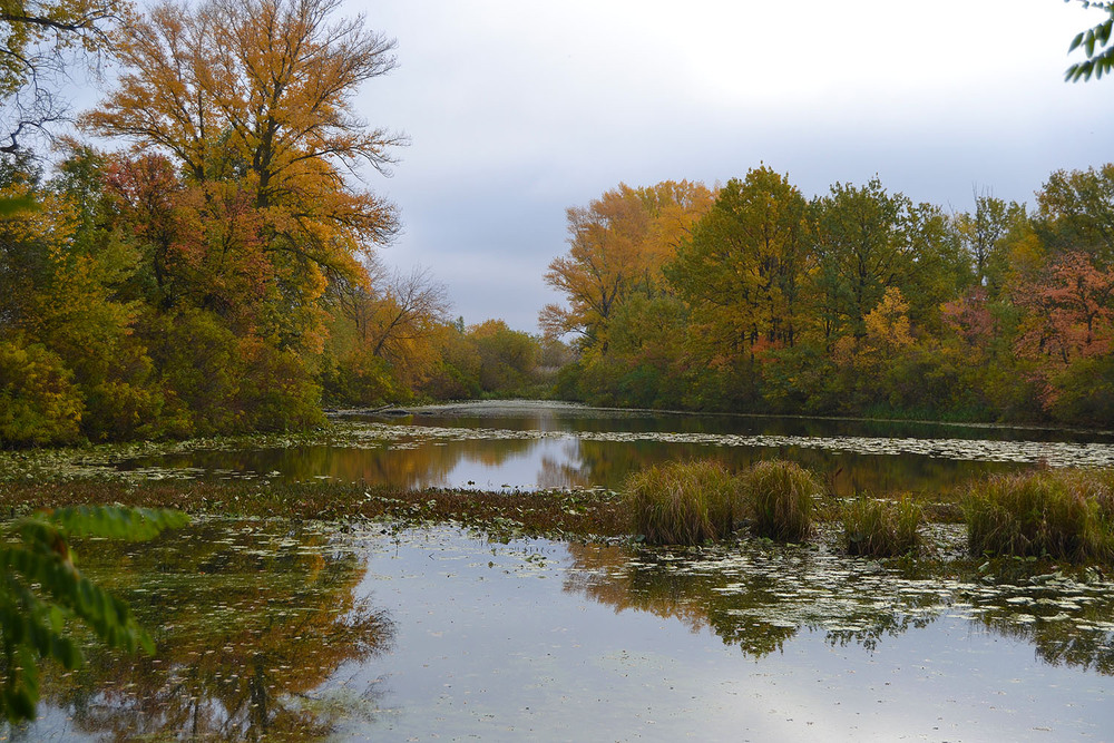 Фотографія **** / Віктор Чернецький / photographers.ua