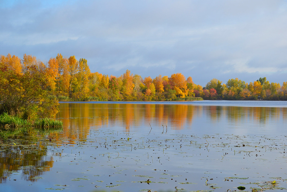 Фотографія **** / Віктор Чернецький / photographers.ua