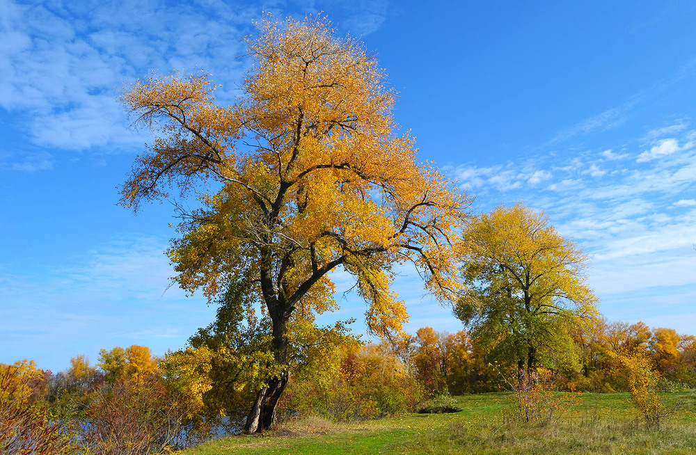 Фотографія **** / Віктор Чернецький / photographers.ua