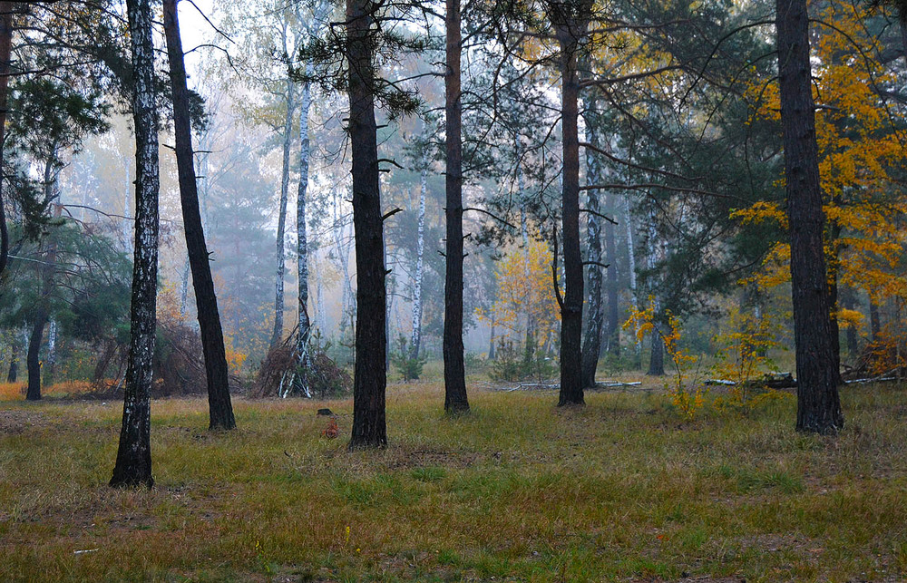 Фотографія **** / Віктор Чернецький / photographers.ua