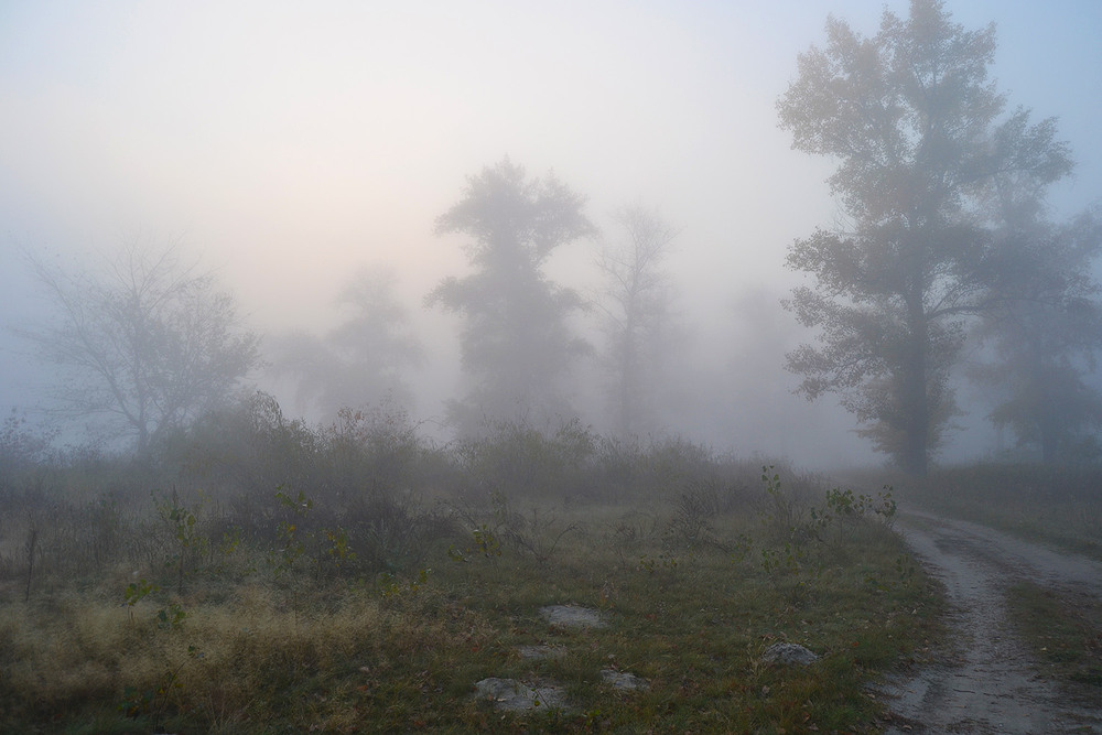 Фотографія **** / Віктор Чернецький / photographers.ua