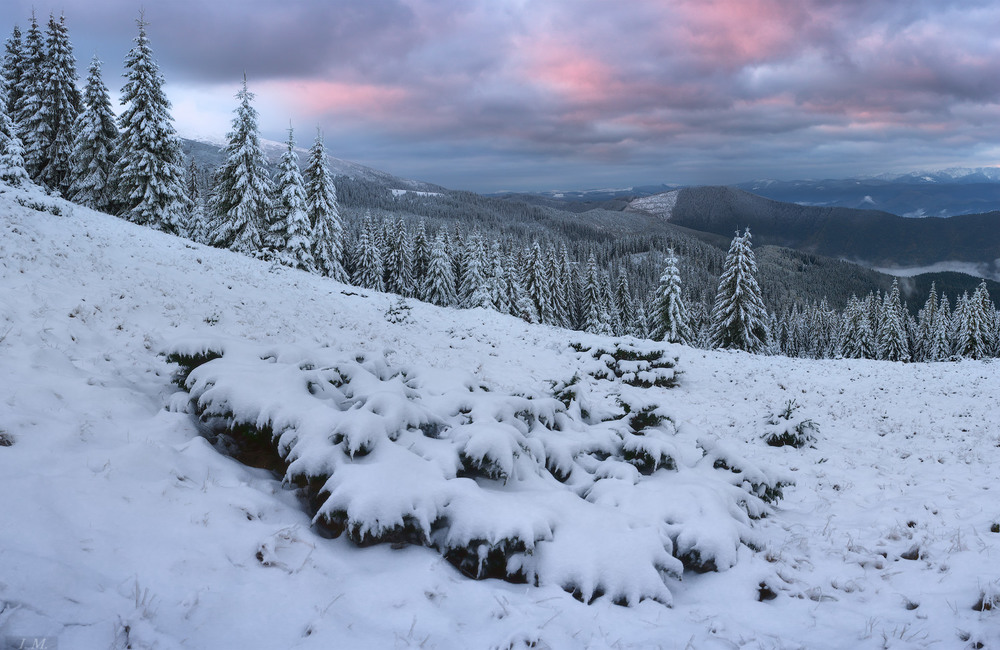 Фотографія .. после снегопада .. / Ivan Maljarenko / photographers.ua