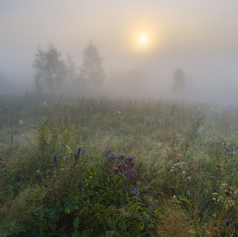 Фотографія Туманным утром в предгорьях Карпат / Ivan Maljarenko / photographers.ua