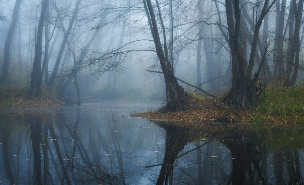 Фотографія In the deep of autumn .. / Ivan Maljarenko / photographers.ua