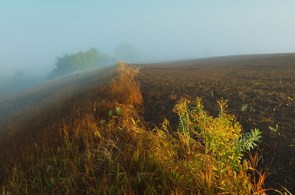 Фотографія "над полями стелется туман ..." / Ivan Maljarenko / photographers.ua