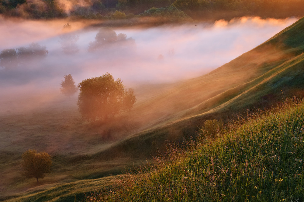 Фотографія Утро в долине туманов .. / Ivan Maljarenko / photographers.ua