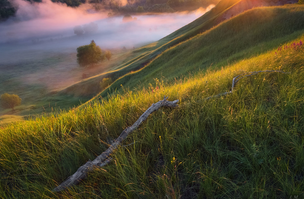 Фотографія феерия света / Ivan Maljarenko / photographers.ua