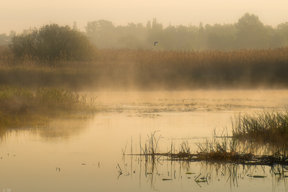 Фотографія Пейзаж / Ivan Maljarenko / photographers.ua