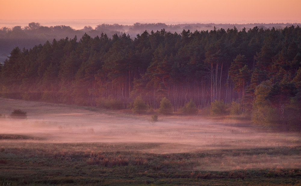 Фотографія рассвет на опушке соснового леса / Ivan Maljarenko / photographers.ua
