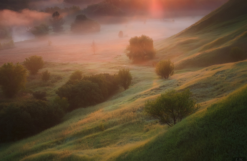 Фотографія soft light .. / Ivan Maljarenko / photographers.ua