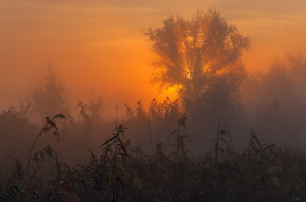 Фотографія Пейзаж / Ivan Maljarenko / photographers.ua