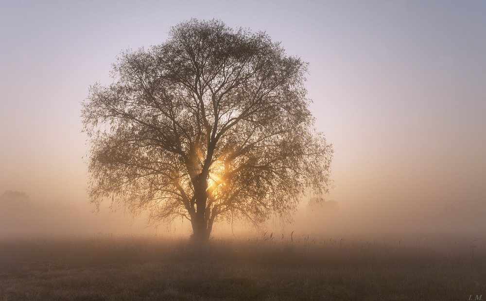 Фотографія Пейзаж / Ivan Maljarenko / photographers.ua