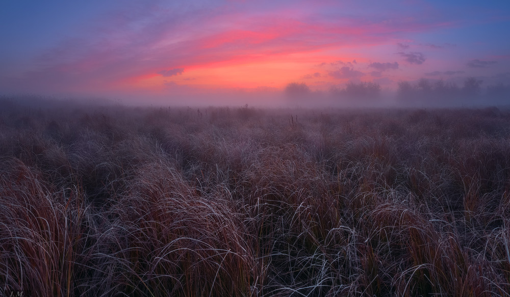 Фотографія Returning to a dreams .. / Ivan Maljarenko / photographers.ua