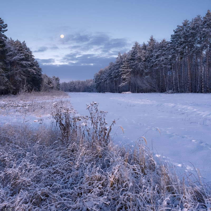 Фотографія морозное утро / Ivan Maljarenko / photographers.ua
