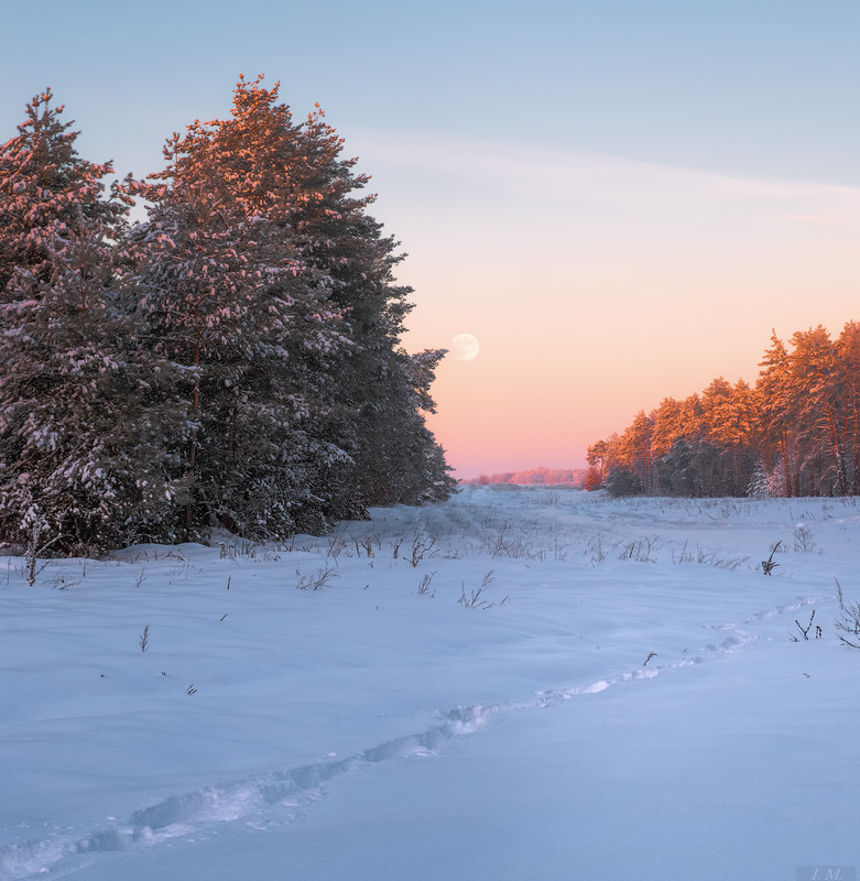 Фотографія Былые зимы ... / Ivan Maljarenko / photographers.ua