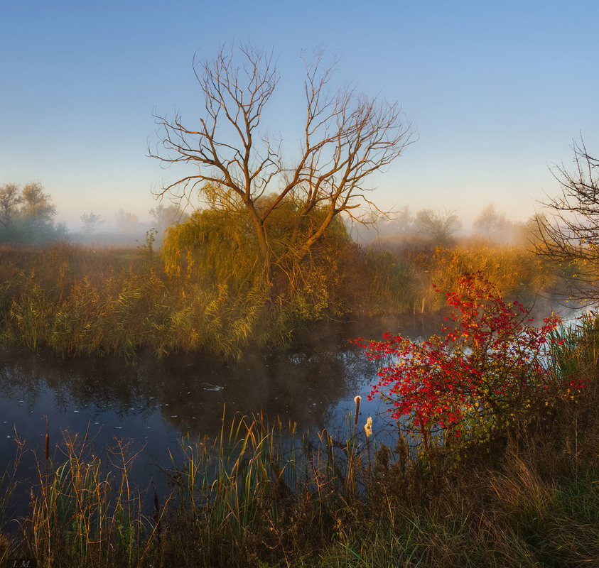 Фотографія утро красит нежным светом .. / Ivan Maljarenko / photographers.ua