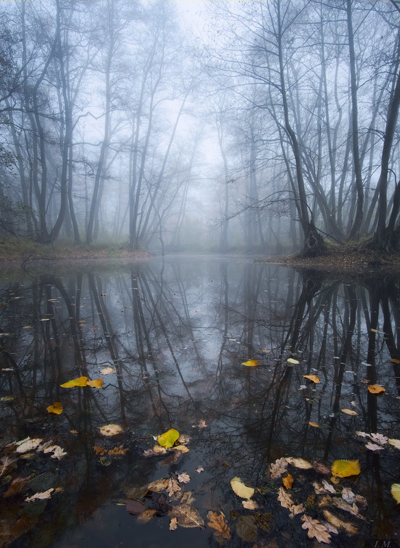 Фотография Autumn melancholy .. / Ivan Maljarenko / photographers.ua