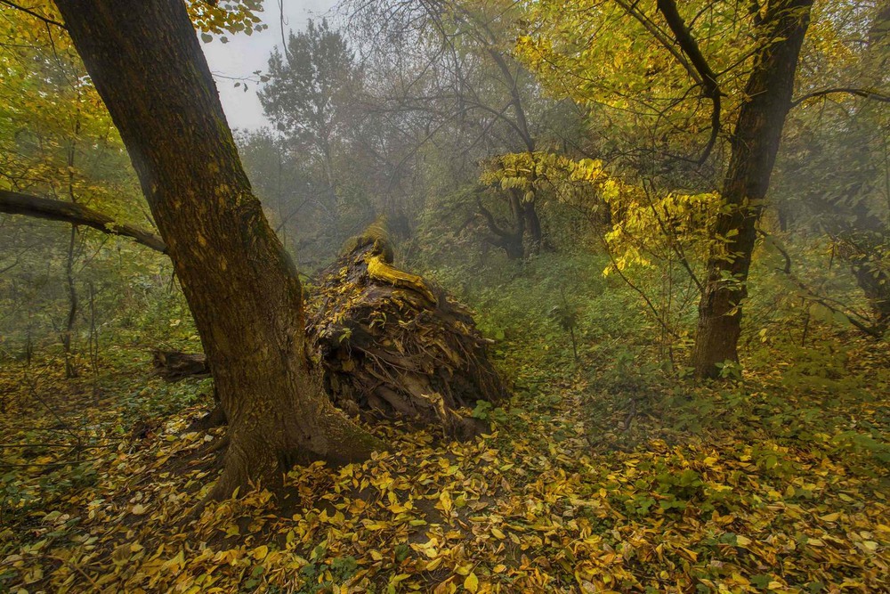 Фотографія Пейзаж / Михаил , Строев / photographers.ua