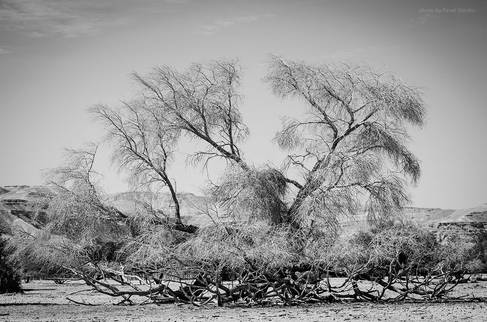 Фотографія Пейзаж / Павел Шистко / photographers.ua