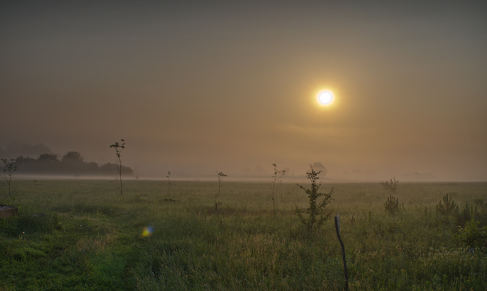 Фотографія Утро туманное / Павел Шистко / photographers.ua