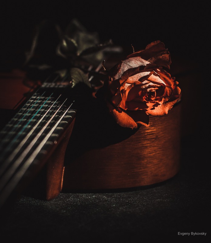Фотографія Натюрморт / Евгений Быковский / photographers.ua