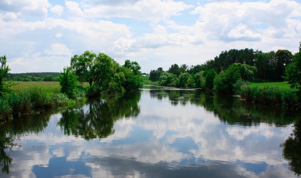 Фотографія Случь / Евгений Быковский / photographers.ua