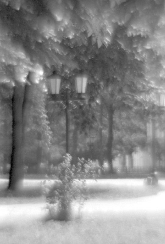 Фотографія Глуар (монолінза) / Igor Vakaliuk / photographers.ua