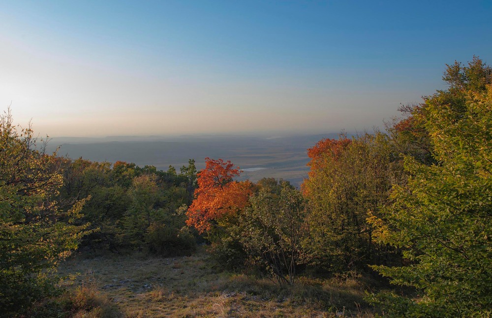 Фотографія Гламур / Igor Vakaliuk / photographers.ua