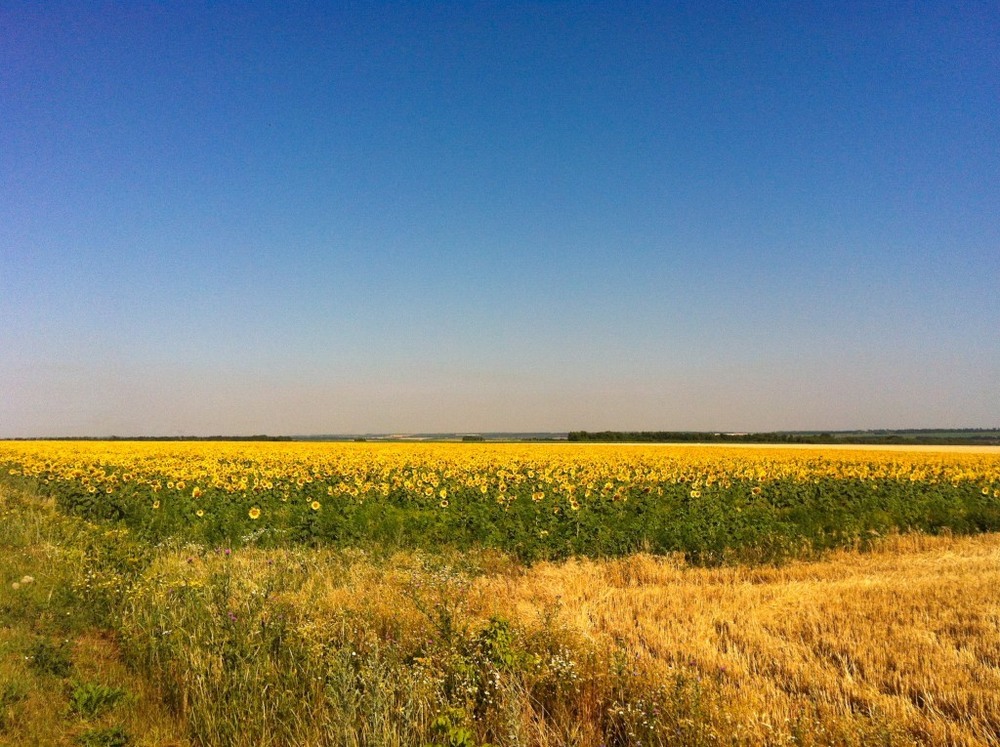 Фотографія ... / Igor Vakaliuk / photographers.ua