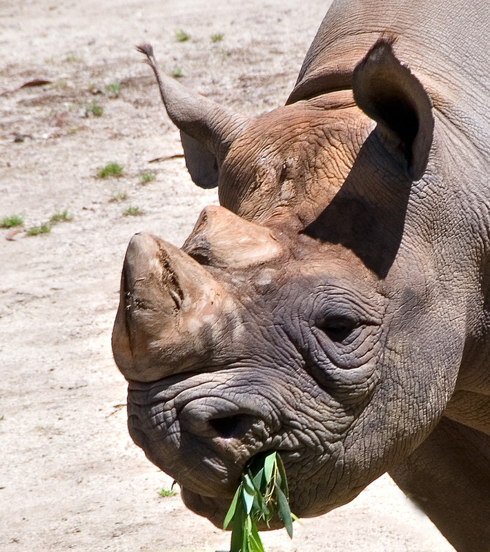 Фотографія ...трішку гумору (2) / Igor Vakaliuk / photographers.ua