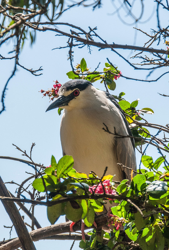 Фотографія Гламур / Igor Vakaliuk / photographers.ua