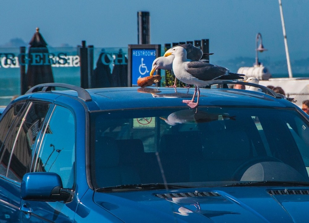 Фотографія Гламур / Igor Vakaliuk / photographers.ua