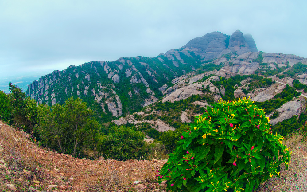 Фотографія Гламур / Igor Vakaliuk / photographers.ua