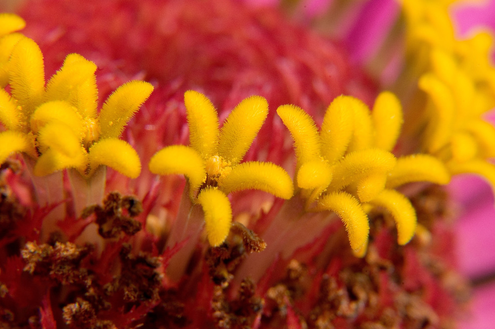 Фотографія Гламур / Igor Vakaliuk / photographers.ua