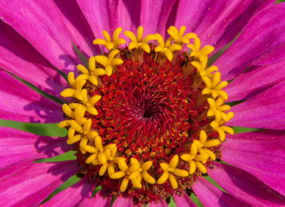 Фотографія Гламур / Igor Vakaliuk / photographers.ua