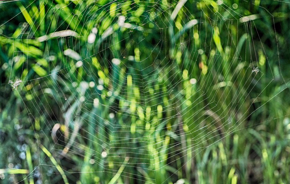 Фотографія ...Втік... / Igor Vakaliuk / photographers.ua