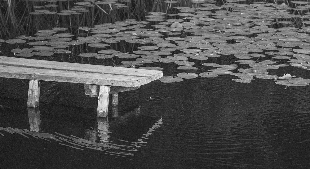 Фотографія Гламур / Igor Vakaliuk / photographers.ua